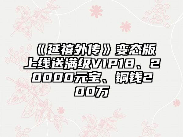 《延禧外传》变态版上线送满级VIP18、20000元宝、铜钱200万