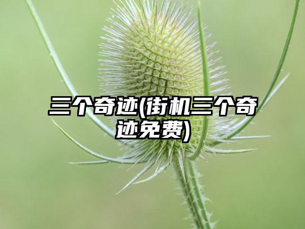 三个奇迹(街机三个奇迹免费)