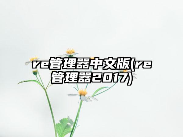 re管理器中文版(re管理器2017)