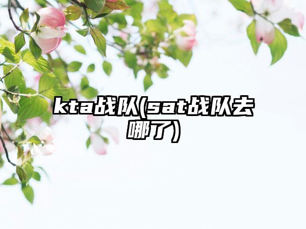 kta战队(sat战队去哪了)
