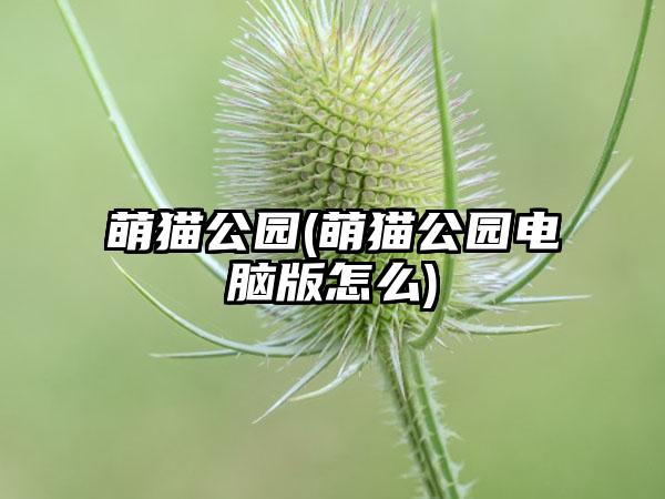 萌猫公园(萌猫公园电脑版怎么)
