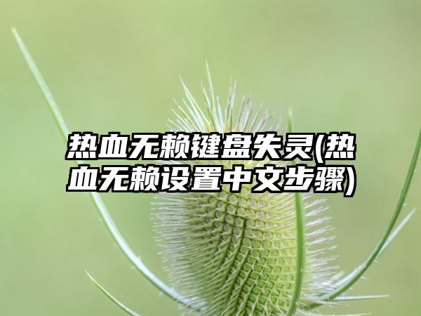 热血无赖键盘失灵(热血无赖设置中文步骤)