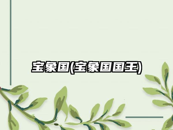宝象国(宝象国国王)