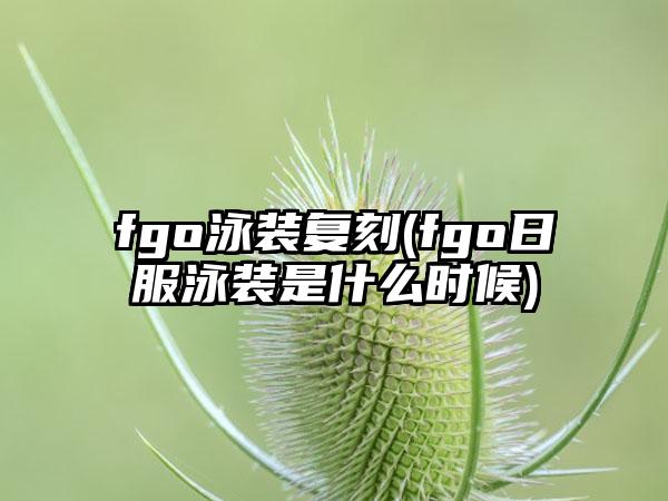 fgo泳装复刻(fgo日服泳装是什么时候)