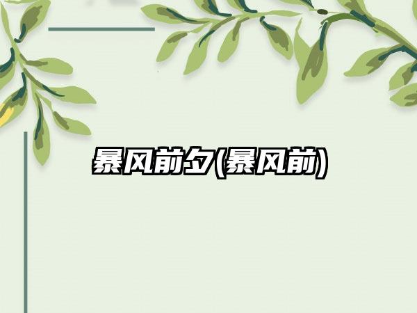 暴风前夕(暴风前)