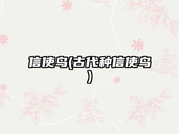 信使鸟(古代种信使鸟)