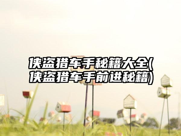 侠盗猎车手秘籍大全(侠盗猎车手前进秘籍)