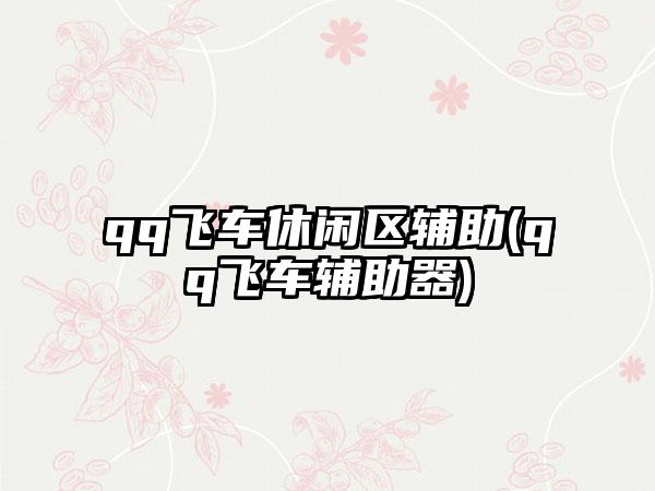 qq飞车休闲区辅助(qq飞车辅助器)