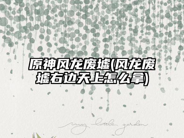 原神风龙废墟(风龙废墟右边天上怎么拿)