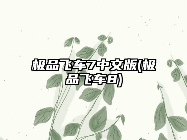 极品飞车7中文版(极品飞车8)