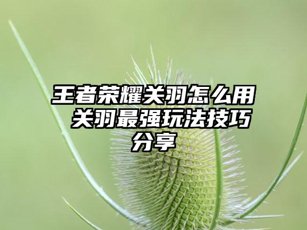 王者荣耀关羽怎么用 关羽最强玩法技巧分享