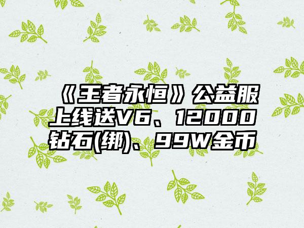 《王者永恒》公益服上线送V6、12000钻石(绑)、99W金币