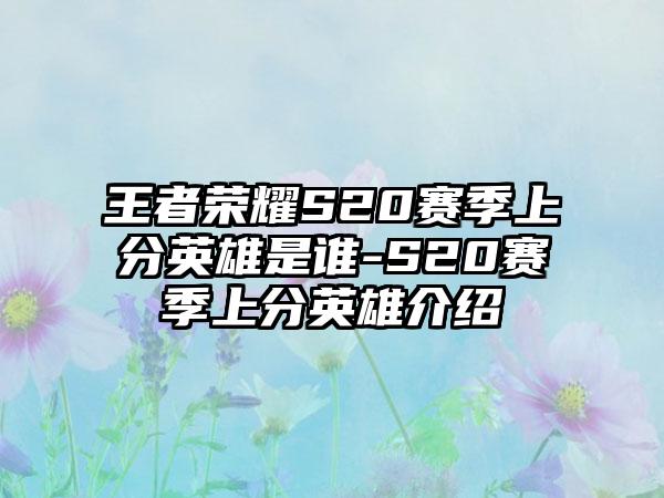 王者荣耀S20赛季上分英雄是谁-S20赛季上分英雄介绍