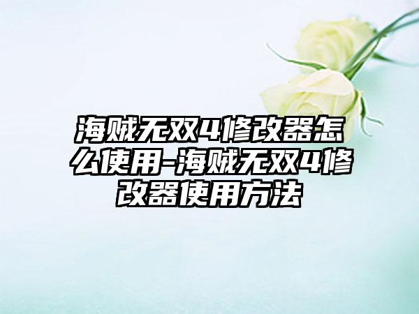 海贼无双4修改器怎么使用-海贼无双4修改器使用方法