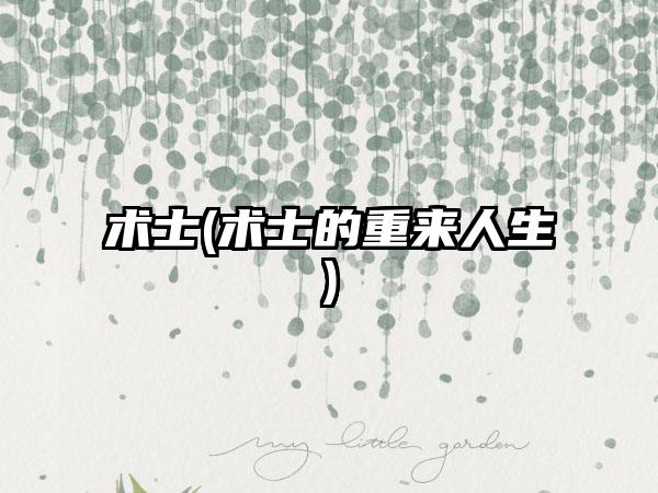 术士(术士的重来人生)