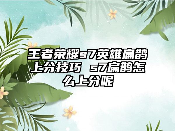 王者荣耀s7英雄扁鹊上分技巧 s7扁鹊怎么上分呢