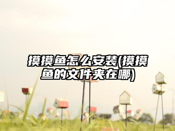 摸摸鱼怎么安装(摸摸鱼的文件夹在哪)