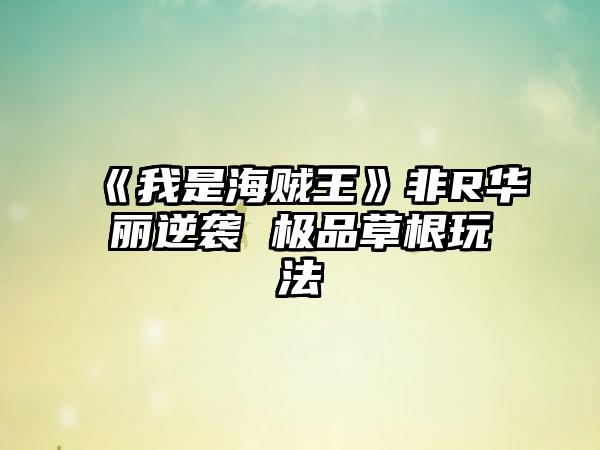 《我是海贼王》非R华丽逆袭 极品草根玩法