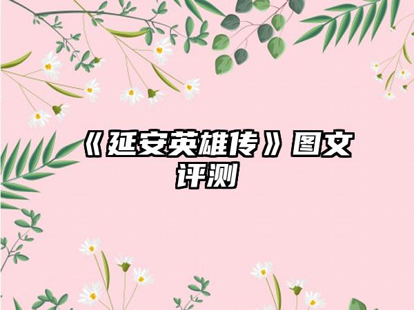 《延安英雄传》图文评测