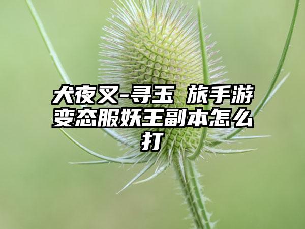 犬夜叉-寻玉の旅手游变态服妖王副本怎么打