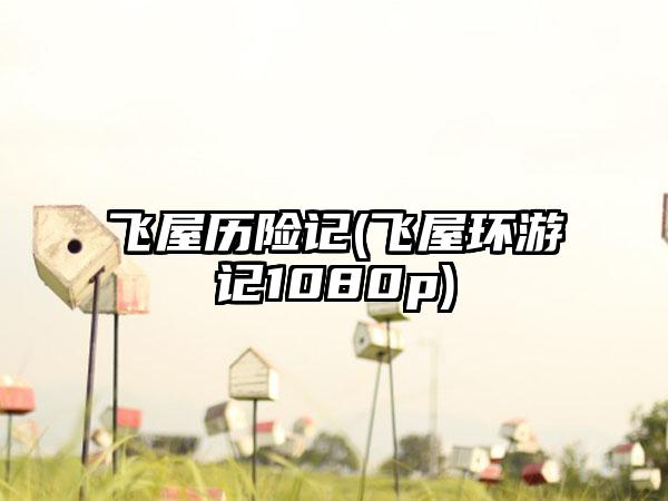 飞屋历险记(飞屋环游记1080p)