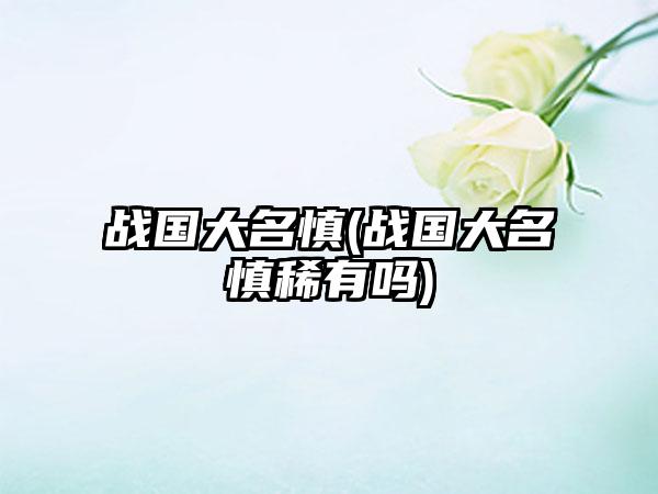 战国大名慎(战国大名慎稀有吗)