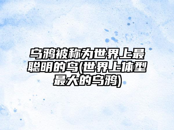 乌鸦被称为世界上最聪明的鸟(世界上体型最大的乌鸦)