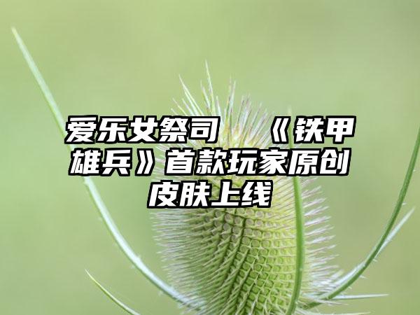 爱乐女祭司  《铁甲雄兵》首款玩家原创皮肤上线