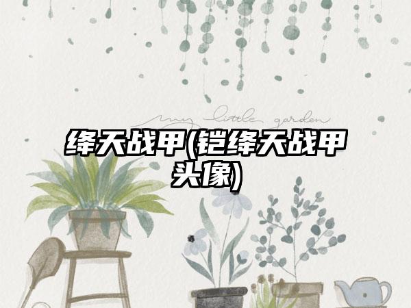 绛天战甲(铠绛天战甲头像)