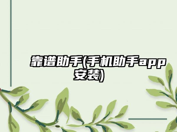 靠谱助手(手机助手app安装)