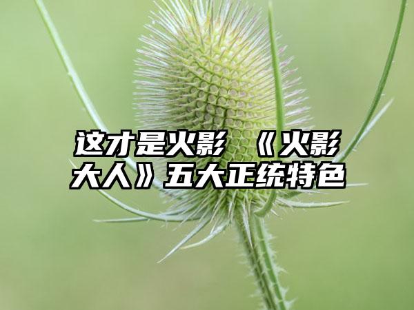 这才是火影 《火影大人》五大正统特色