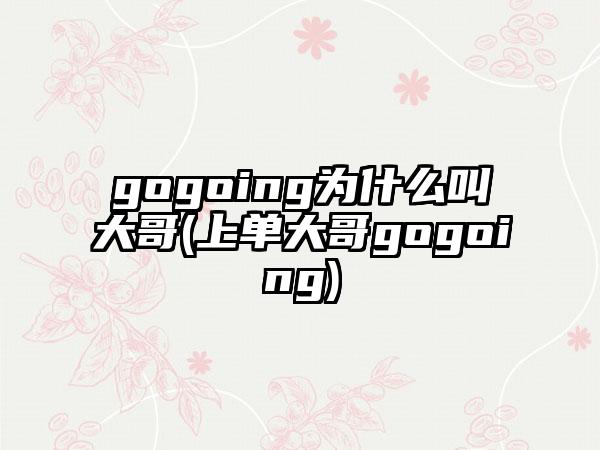 gogoing为什么叫大哥(上单大哥gogoing)