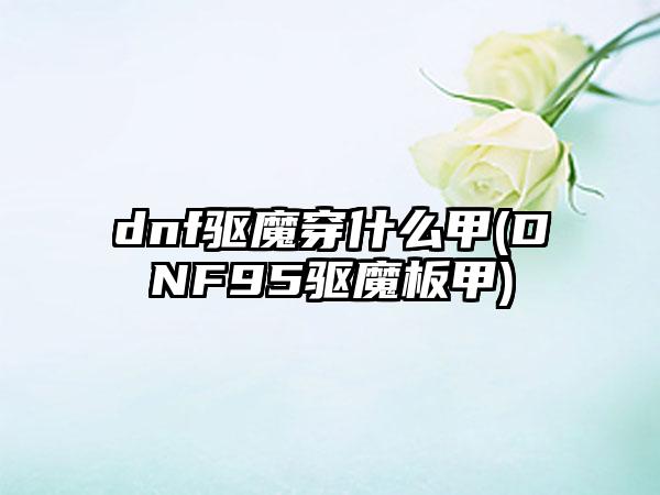 dnf驱魔穿什么甲(DNF95驱魔板甲)