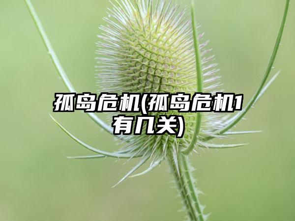 孤岛危机(孤岛危机1有几关)