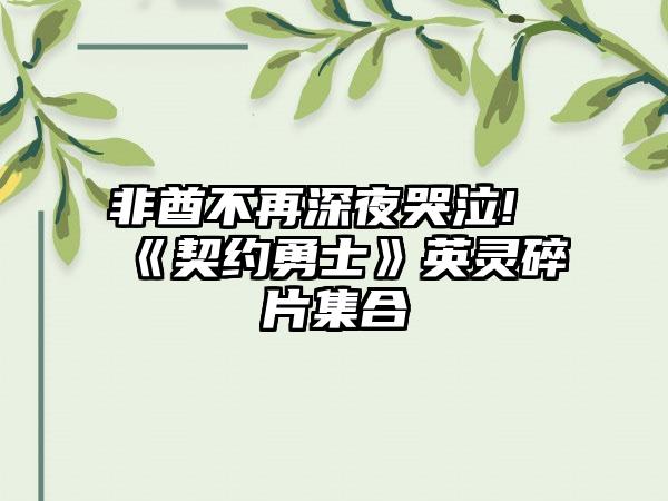 非酋不再深夜哭泣!《契约勇士》英灵碎片集合