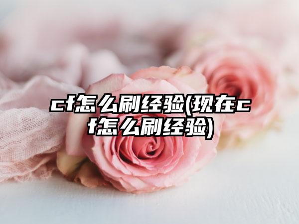 cf怎么刷经验(现在cf怎么刷经验)