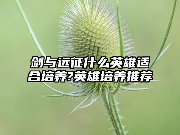 剑与远征什么英雄适合培养?英雄培养推荐