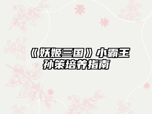 《妖姬三国》小霸王孙策培养指南