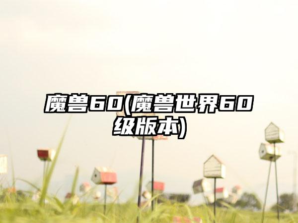 魔兽60(魔兽世界60级版本)