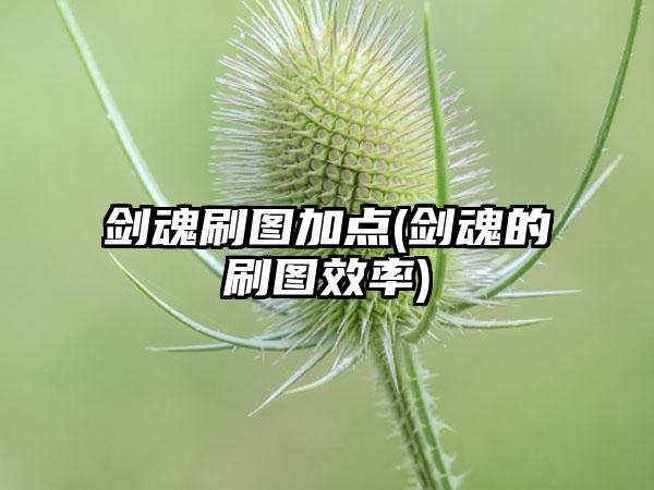 剑魂刷图加点(剑魂的刷图效率)