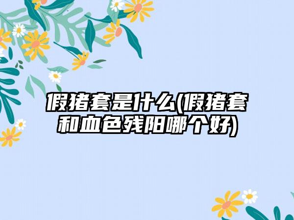 假猪套是什么(假猪套和血色残阳哪个好)