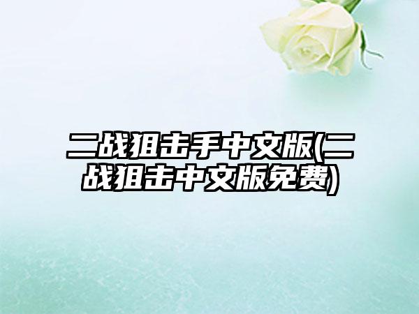 二战狙击手中文版(二战狙击中文版免费)