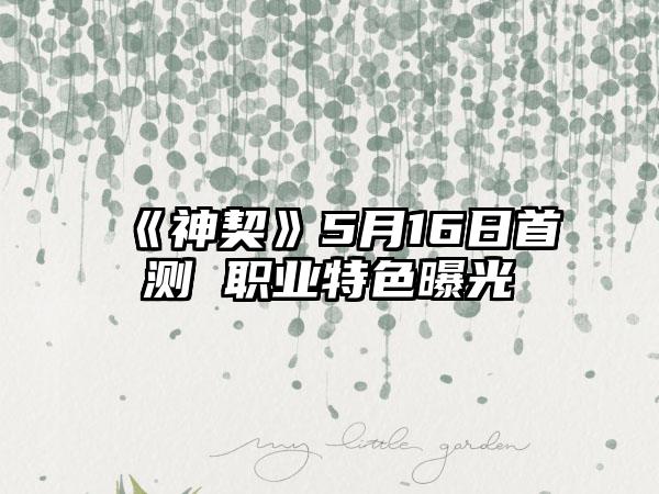 《神契》5月16日首测 职业特色曝光