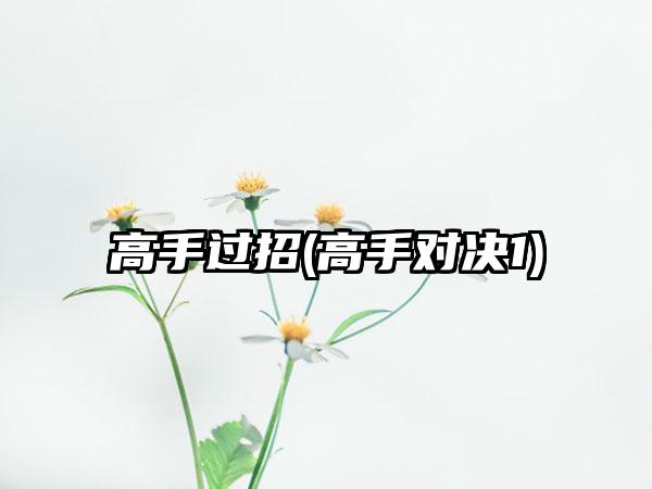 高手过招(高手对决1)