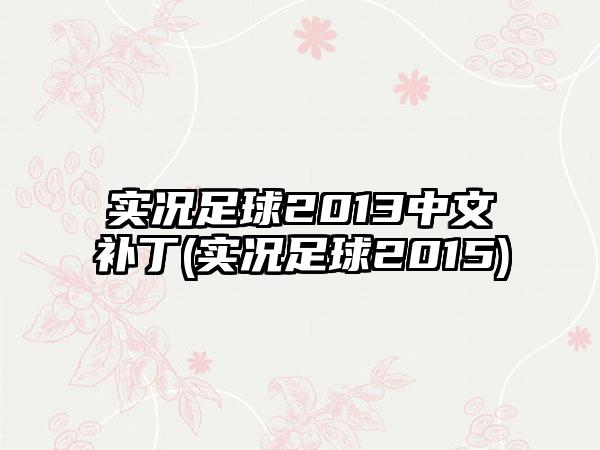 实况足球2013中文补丁(实况足球2015)