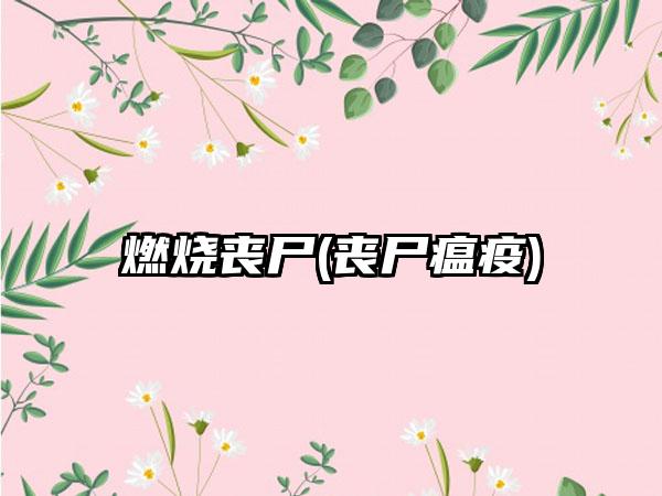 燃烧丧尸(丧尸瘟疫)