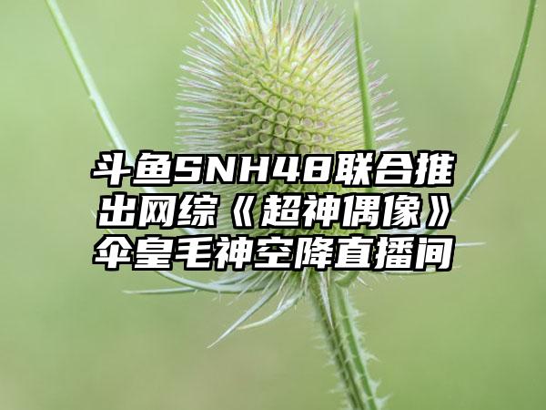 斗鱼SNH48联合推出网综《超神偶像》伞皇毛神空降直播间
