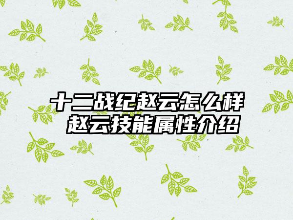 十二战纪赵云怎么样 赵云技能属性介绍