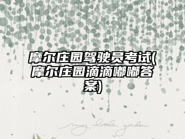 摩尔庄园驾驶员考试(摩尔庄园滴滴嘟嘟答案)