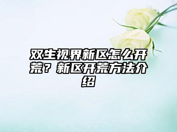 双生视界新区怎么开荒？新区开荒方法介绍